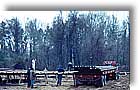truck being unloaded